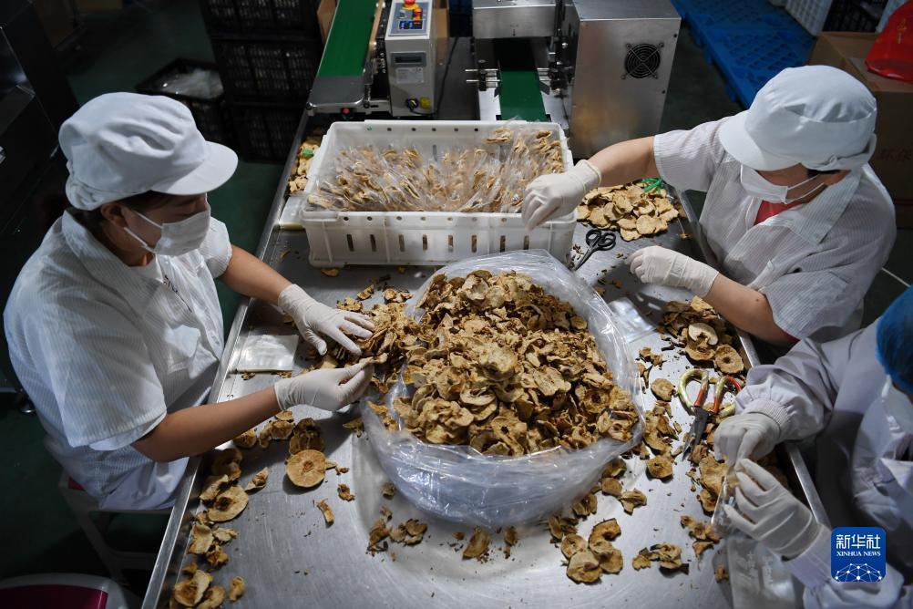 银钻娱乐手机版